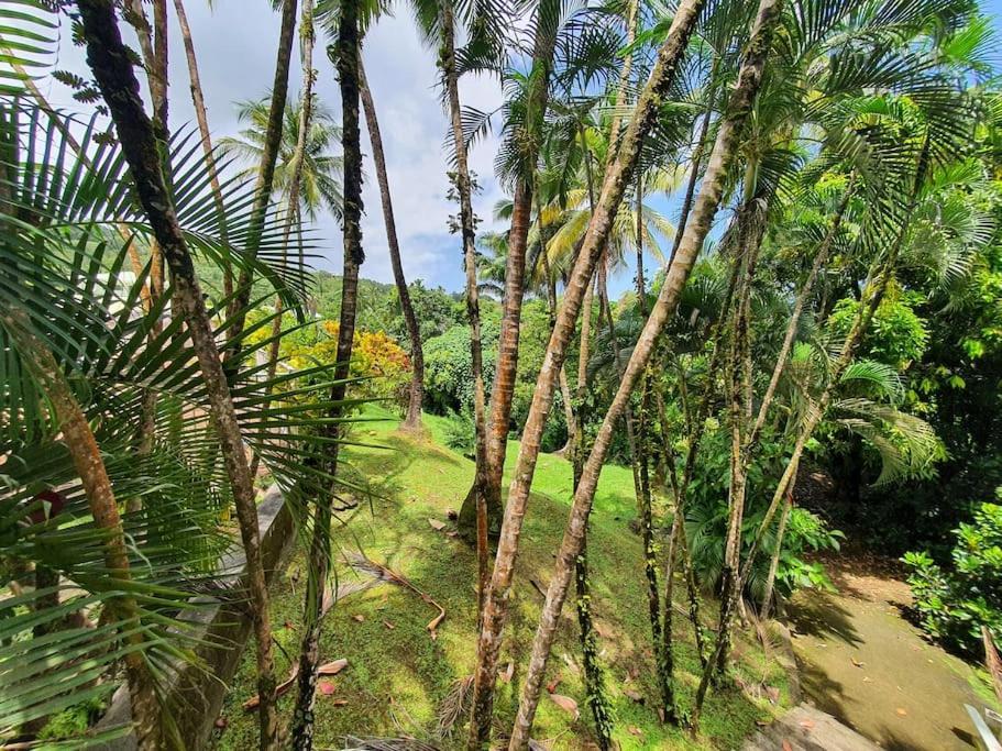 Villa Kaza Malessa Sainte-Marie Esterno foto